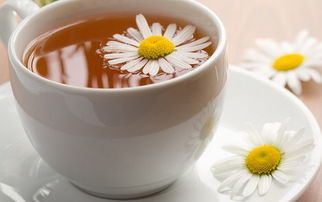 春夏之交，以“四粥三样茶”调和身心