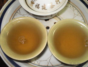 熟茶为饮，生茶为文 2010大益001批越陈越香试喝手记